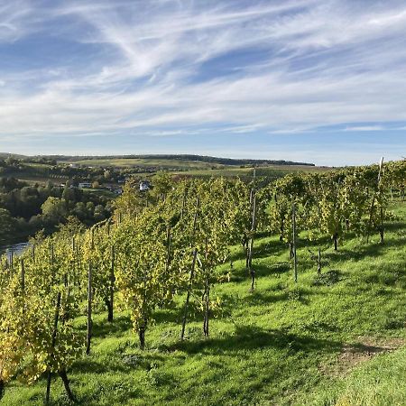 Lovely Holiday Home In Veldenz Near Mosel River Eksteriør billede
