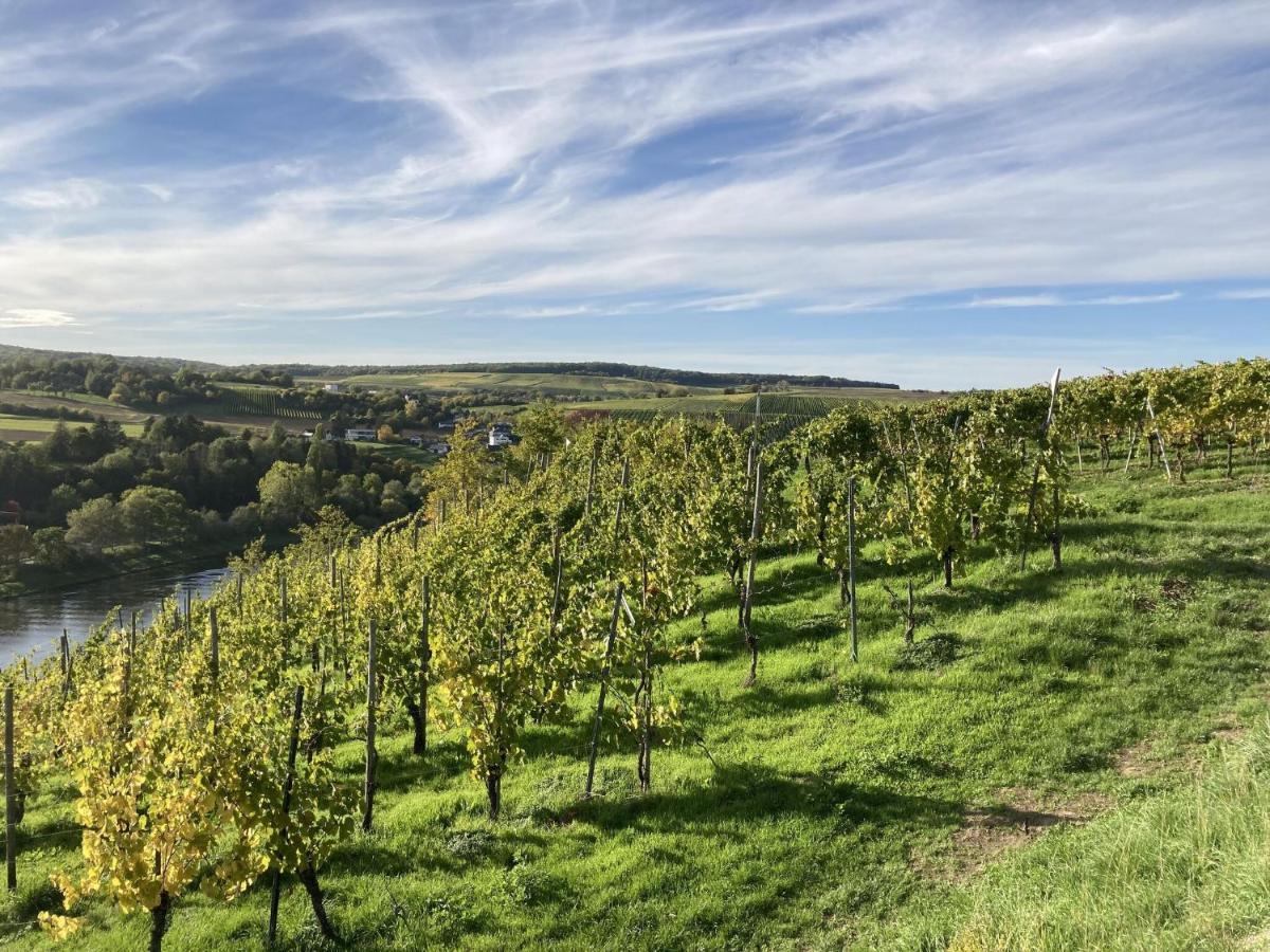 Lovely Holiday Home In Veldenz Near Mosel River Eksteriør billede